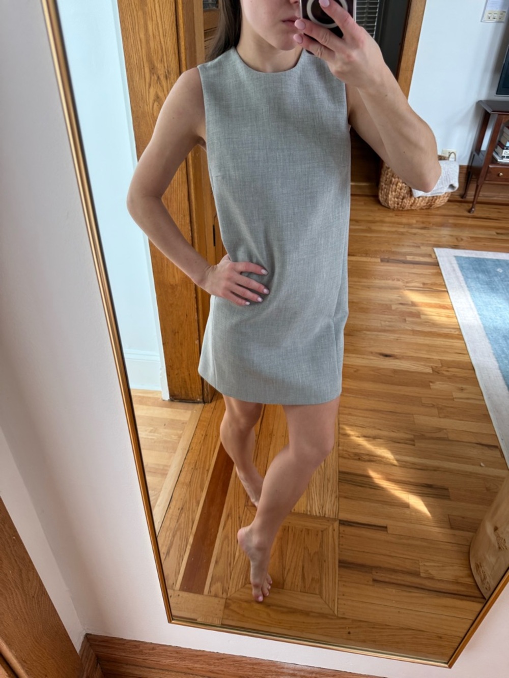 Aritzia Babaton Indicator Dress